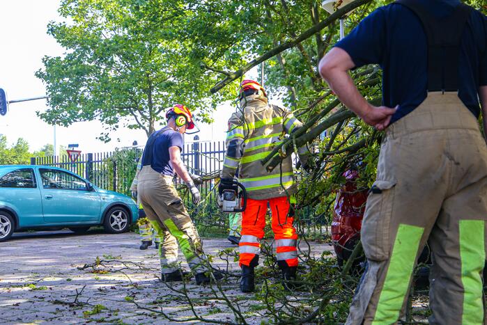 Grote tak breekt af en beschadigt personenwagen