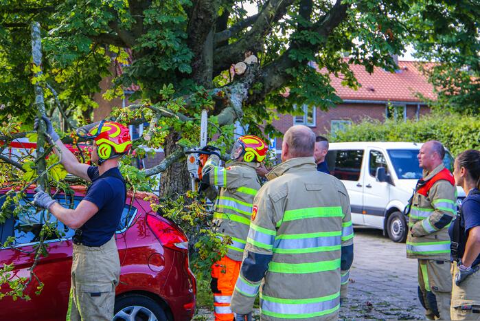 Grote tak breekt af en beschadigt personenwagen