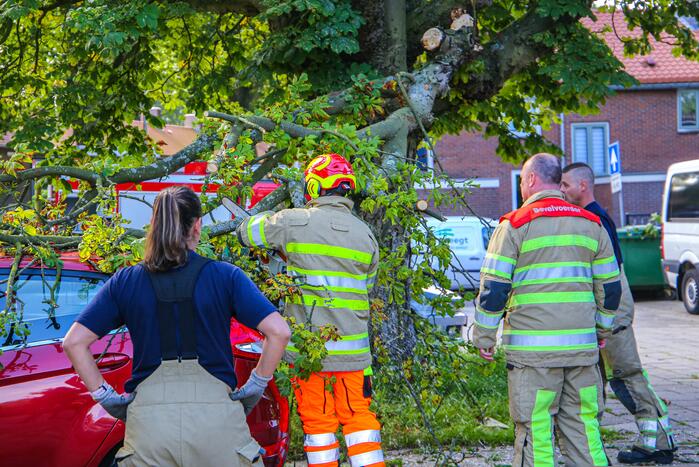 Grote tak breekt af en beschadigt personenwagen