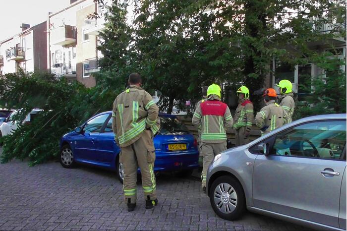 Tak breekt af en valt op auto