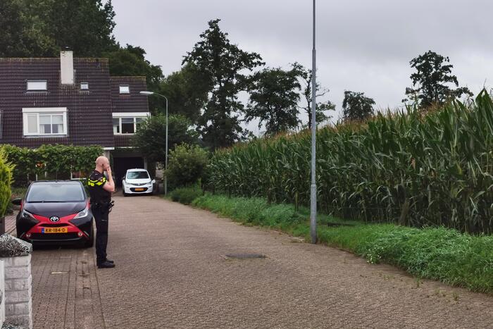 Politiehelikopter ingezet nadat persoon maïsveld invlucht