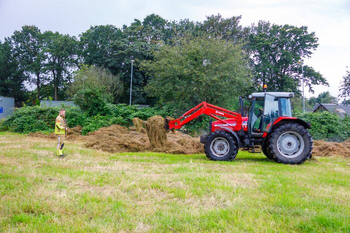 Hooibroei op boerenland