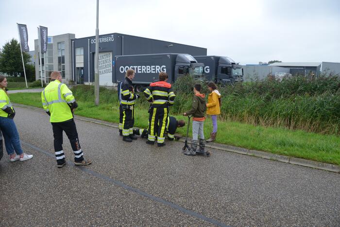 Meerkoet overleden door val in put