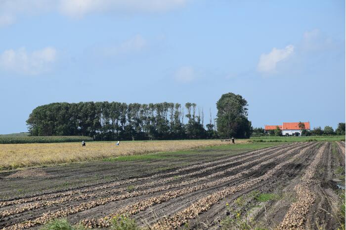 Jager gewond bij schietpartij