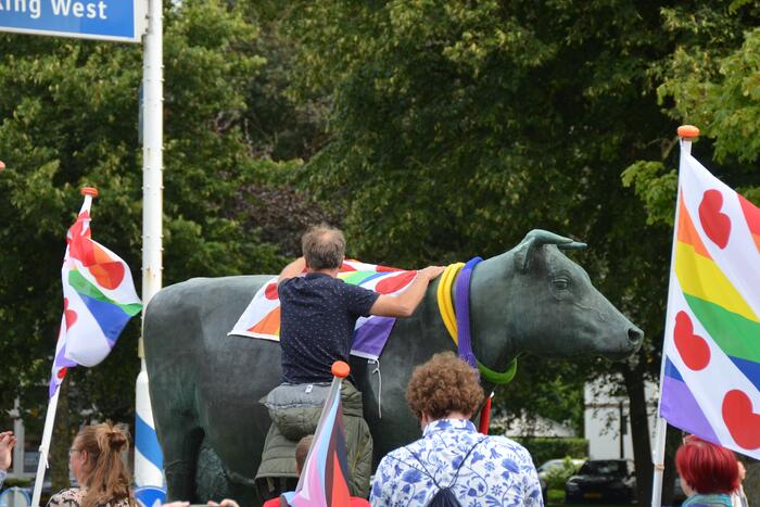 Vreedzame LHBTIQ demonstratie
