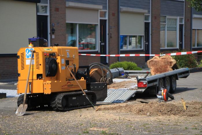 Stronkenfrees gaat door gasleiding heen