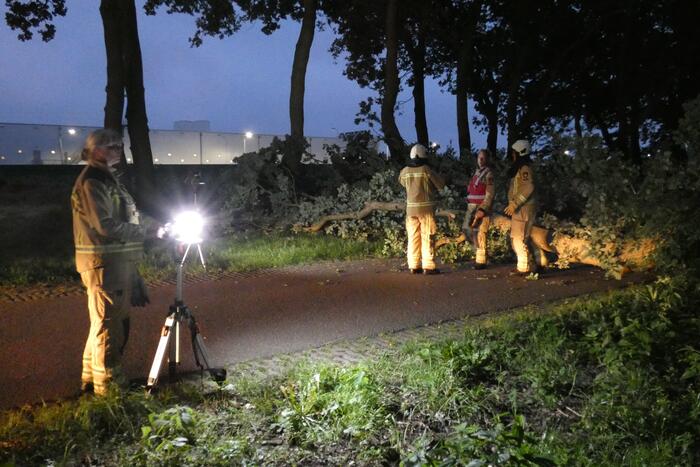 Twee grote bomen vallen op weg