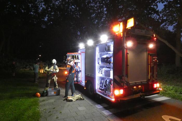 Twee grote bomen vallen op weg