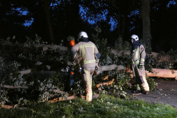 Twee grote bomen vallen op weg