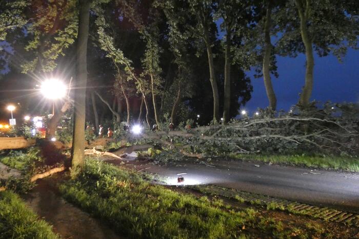 Twee grote bomen vallen op weg