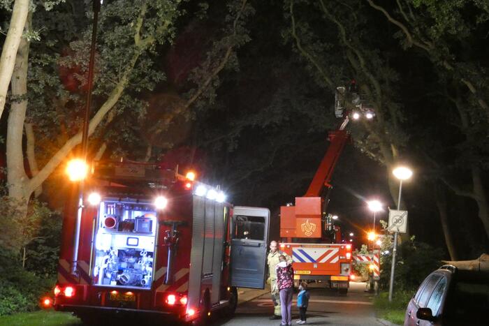 Twee grote bomen vallen op weg