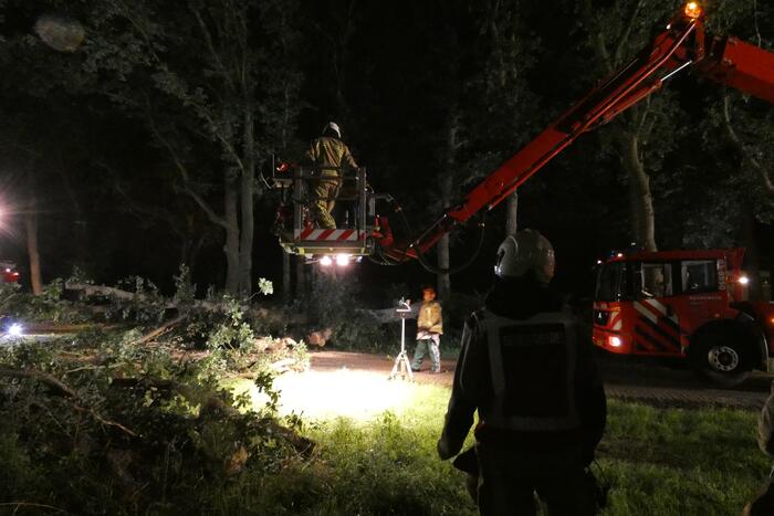 Twee grote bomen vallen op weg