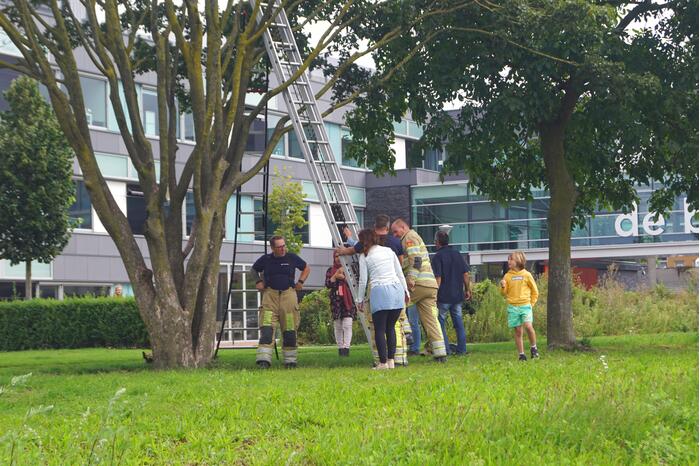 Brandweer haalt kind uit de boom