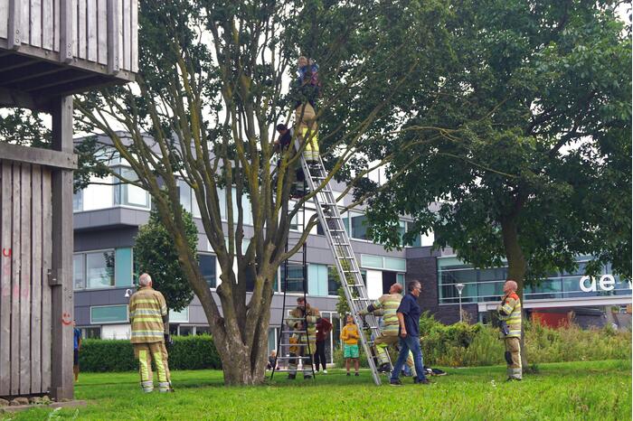 Brandweer haalt kind uit de boom