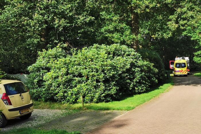 Zichtschermen geplaatst op vakantiepark