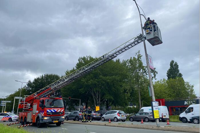 Auto rijdt tegen lantarenpaal aan