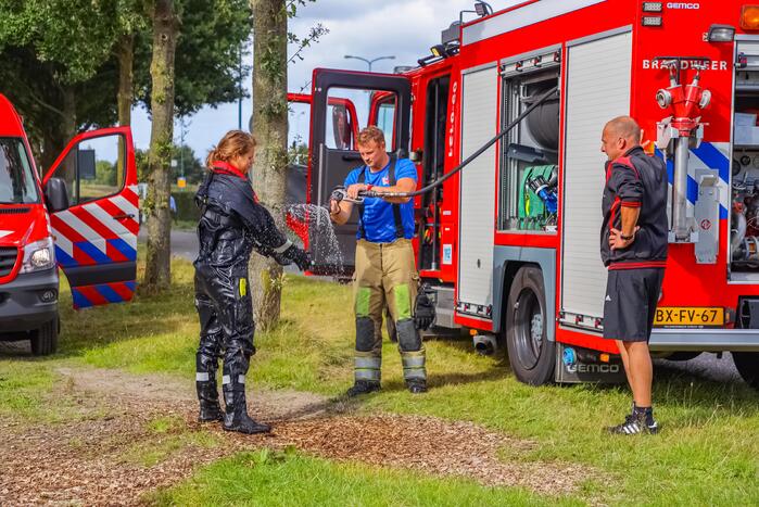 Zwaan vast in rooster in Male Wetering onder wegdek