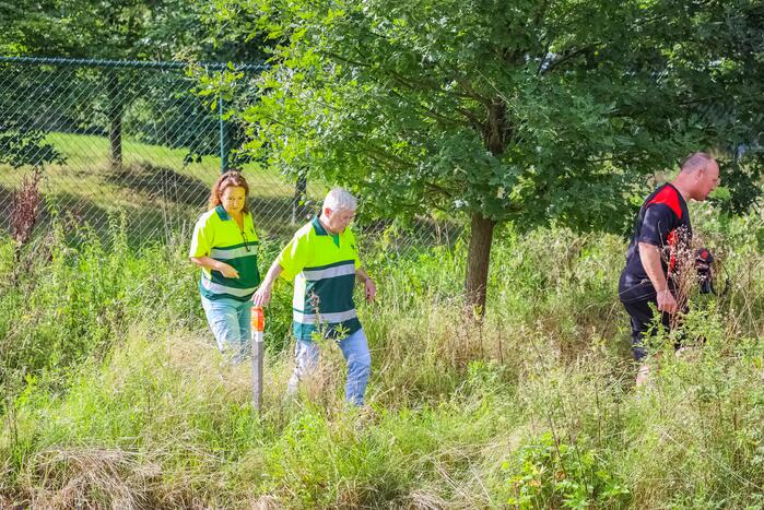 Zwaan vast in rooster in Male Wetering onder wegdek