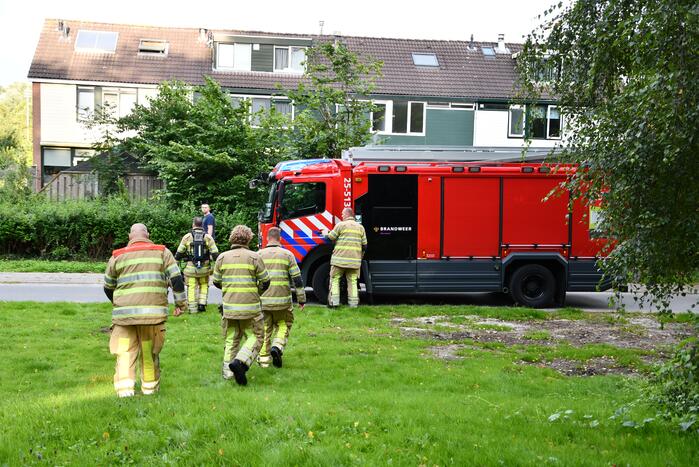 Brandweer blust brandende boom met emmers water