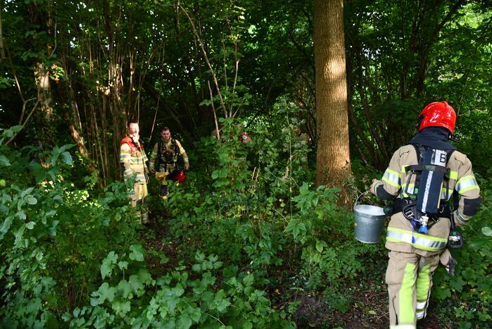 Brandweer blust brandende boom met emmers water