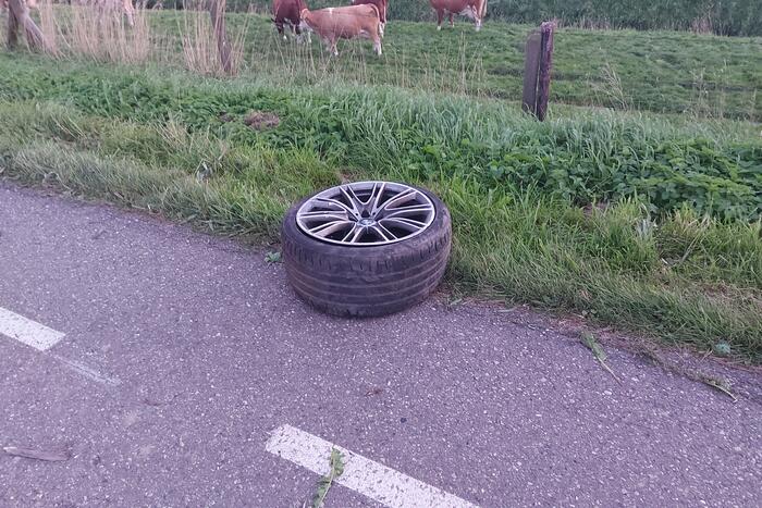 Bestuurder verliest macht over het stuur en botst tegen boom
