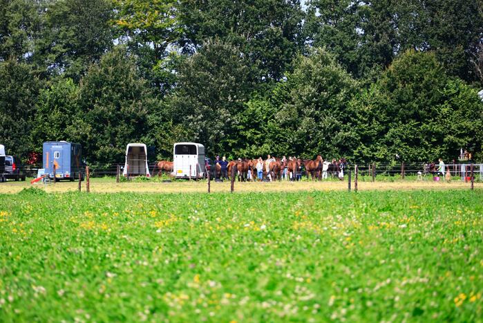 Traumahelikopter landt voor incident op kampeerboerderij