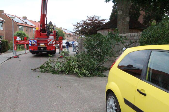 Buurtbewoners halen auto's weg voor gevaarlijk hangende tak
