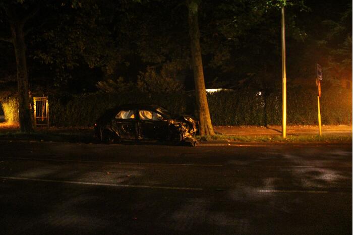 Bestuurder gewond door botsing tegen boom