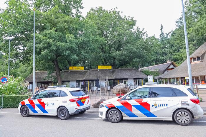 Twee wolven in Dierenpark Amersfoort ontsnapt uit hun verblijf