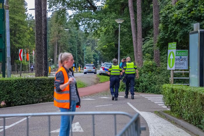 Twee wolven in Dierenpark Amersfoort ontsnapt uit hun verblijf