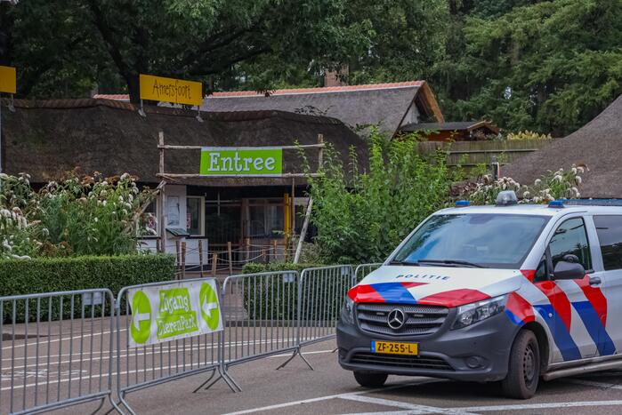 Twee wolven in Dierenpark Amersfoort ontsnapt uit hun verblijf