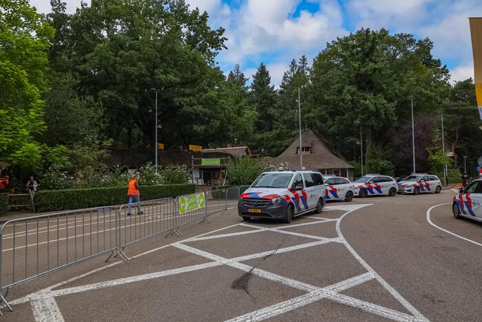 Twee wolven in Dierenpark Amersfoort ontsnapt uit hun verblijf