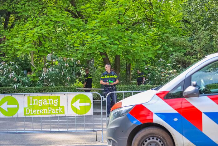 Twee wolven in Dierenpark Amersfoort ontsnapt uit hun verblijf