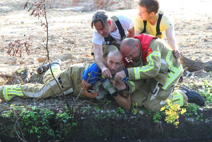 Brandweer redt eend in problemen