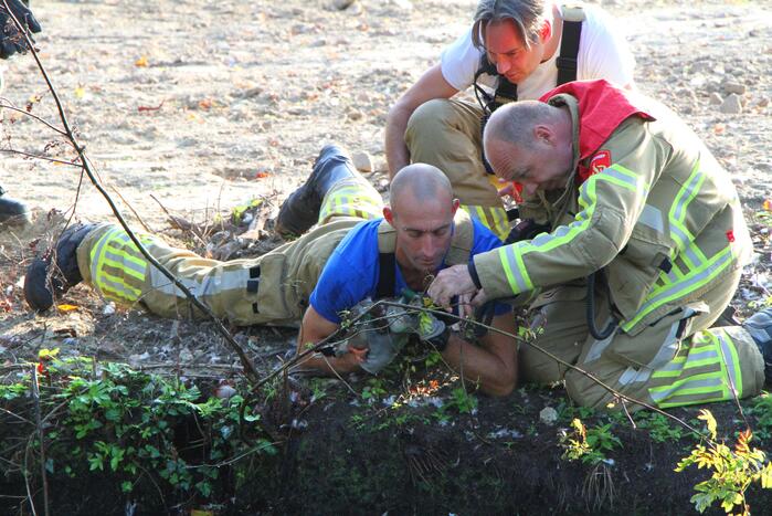 Brandweer redt eend in problemen
