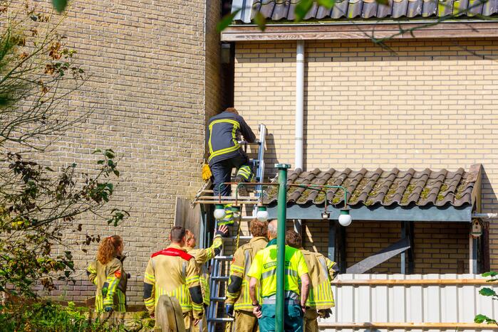 Kat twee dagen vast tussen spouwmuren