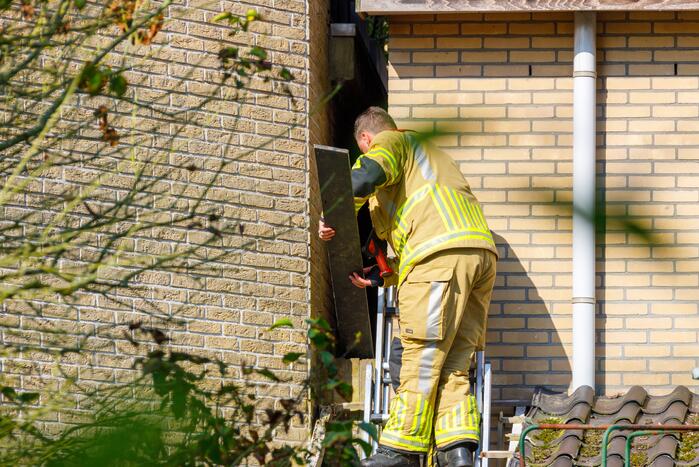 Kat twee dagen vast tussen spouwmuren