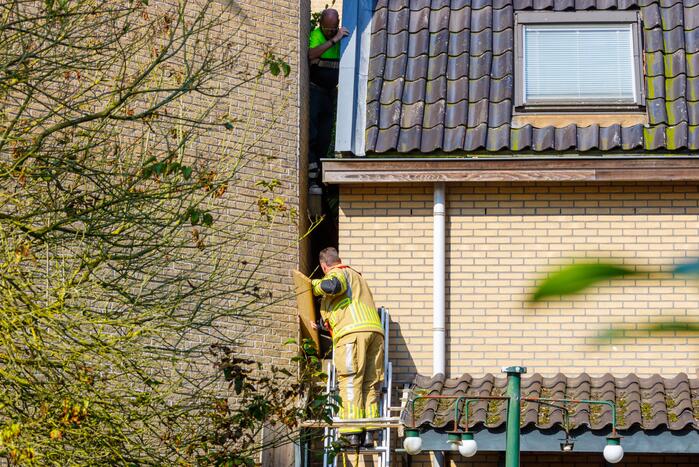 Kat twee dagen vast tussen spouwmuren