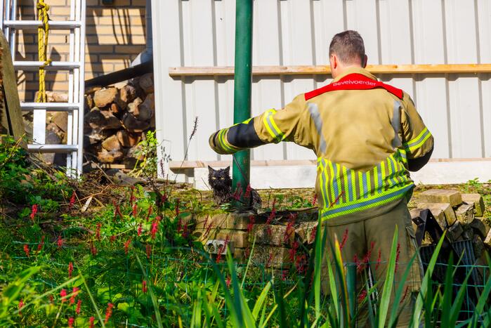 Kat twee dagen vast tussen spouwmuren