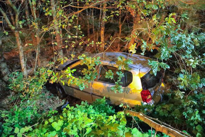 Bestuurster verliest macht over het stuur en komt tot stilstand in struiken