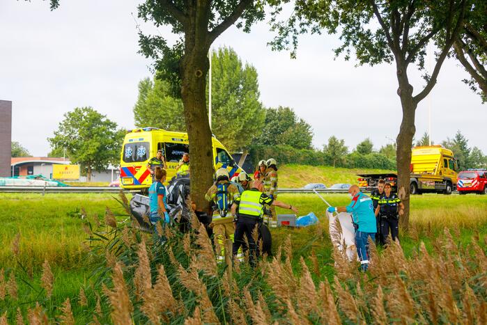 Auto knalt op boom, bestuurder overleden