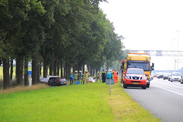 Auto knalt op boom, bestuurder overleden