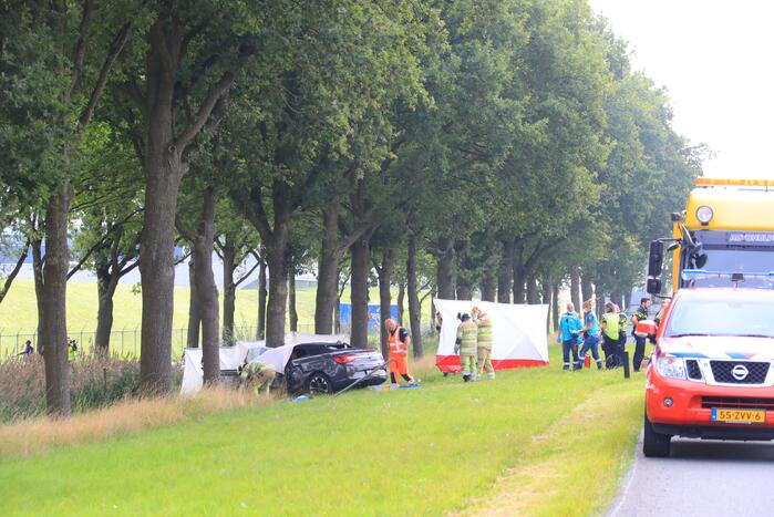 Auto knalt op boom, bestuurder overleden
