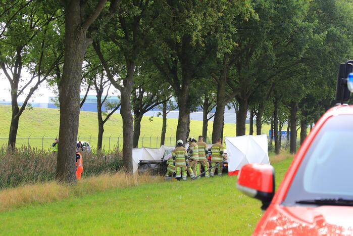 Auto knalt op boom, bestuurder overleden