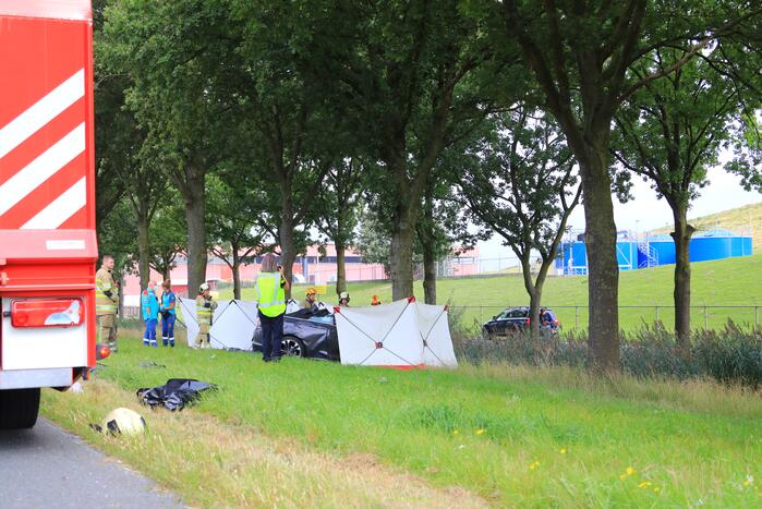 Auto knalt op boom, bestuurder overleden