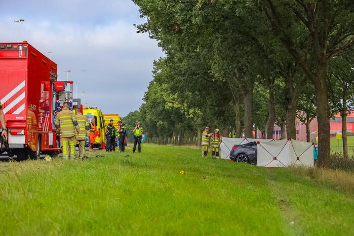 Auto knalt op boom, bestuurder overleden