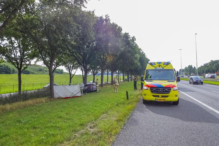 Auto knalt op boom, bestuurder overleden