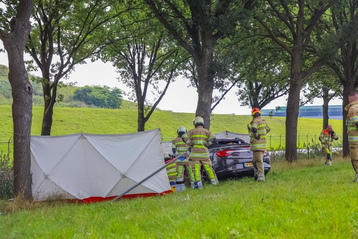 Auto knalt op boom, bestuurder overleden