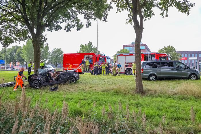 Auto knalt op boom, bestuurder overleden