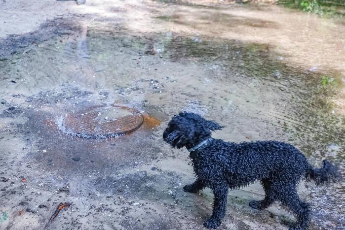 Putdeksel komt omhoog en zorgt voor wateroverlast op bospad